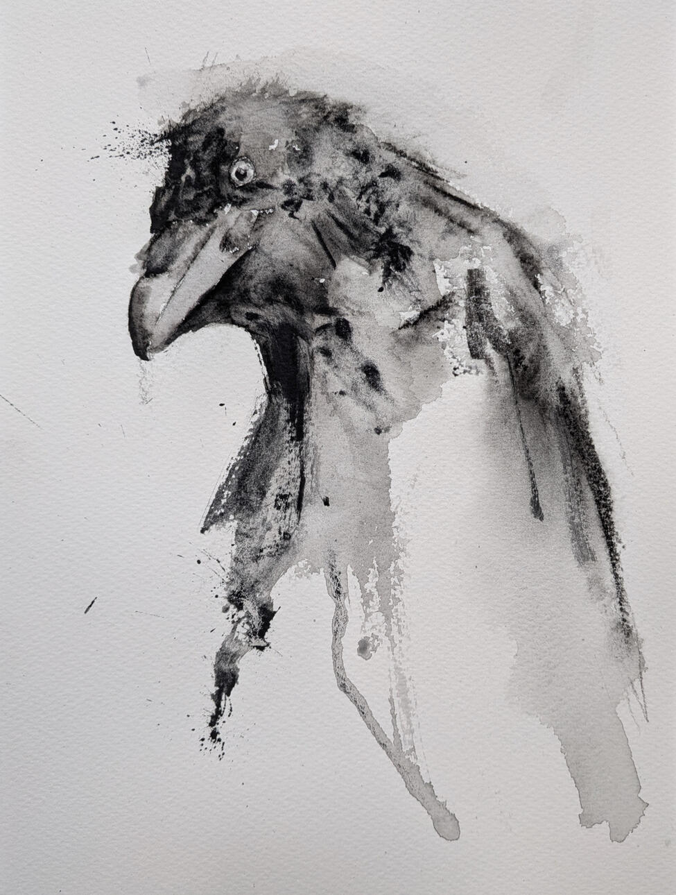 Watercolor painting of a raven