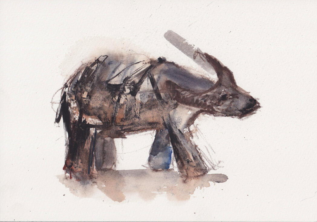 Watercolor painting of a caraboa