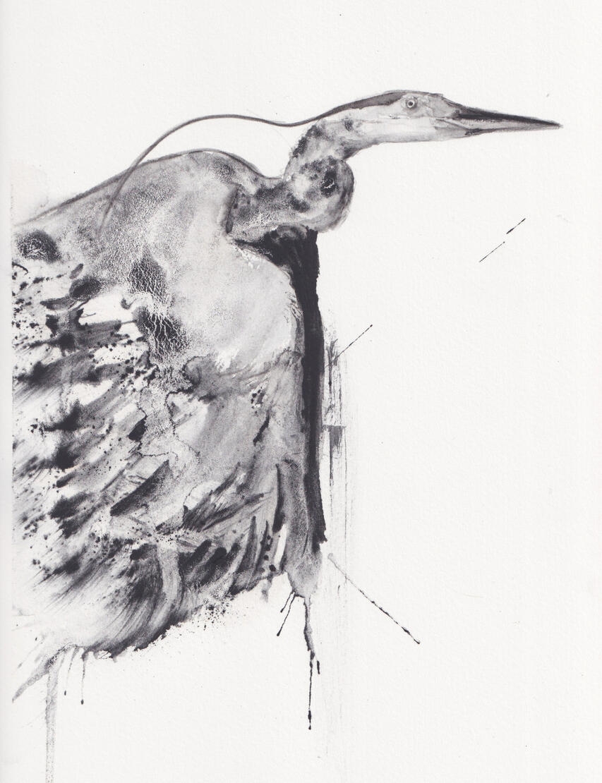 Magnetite Heron