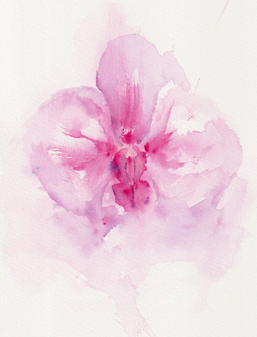 Orchid #1
