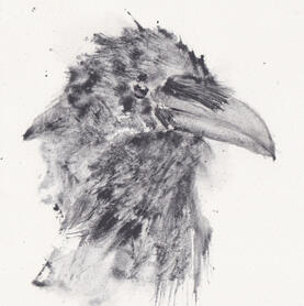 Ravenhead, 2026. Watercolor on paper.