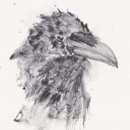 Ravenhead, 2026. Watercolor on paper